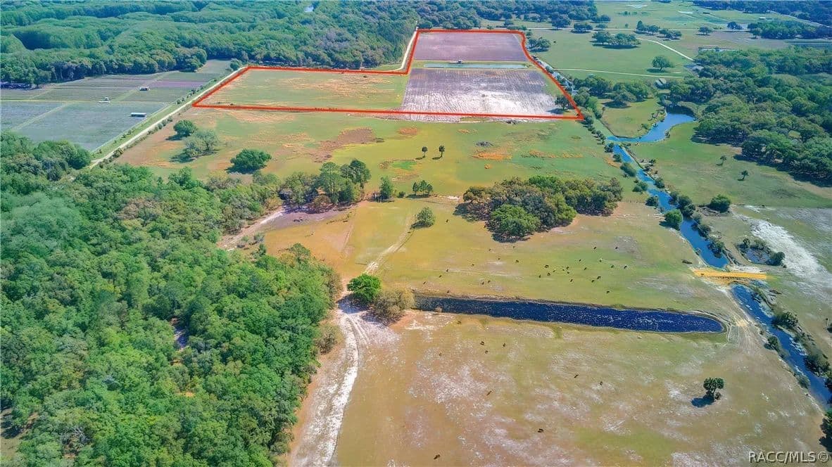 Property from 10774 E Lucas Trail - KW - Inverness, Florida, 34450