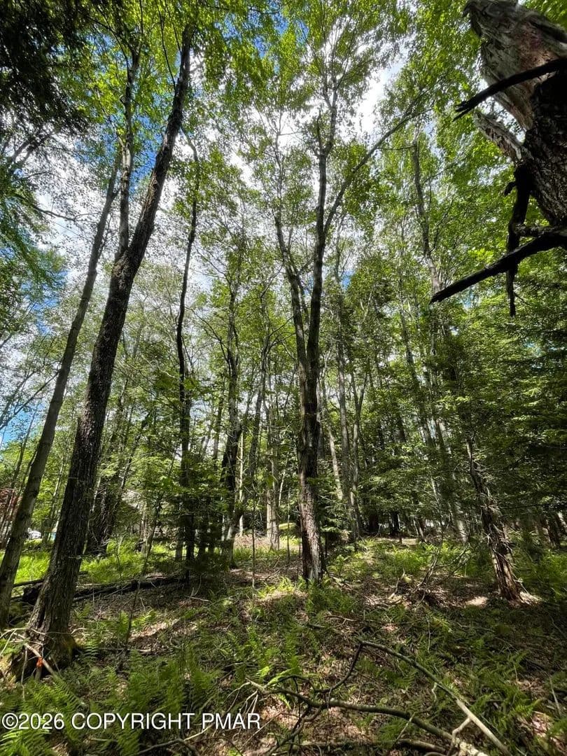0.45 Acres of Land for Sale in Pocono Pines, Pennsylvania - Pocono Pines, Pennsylvania, 18350
