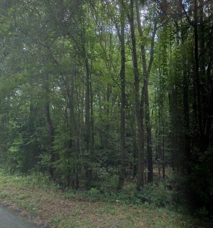 Property from 2a Bradleyville Lane - KW - North Augusta, South Carolina, 29841