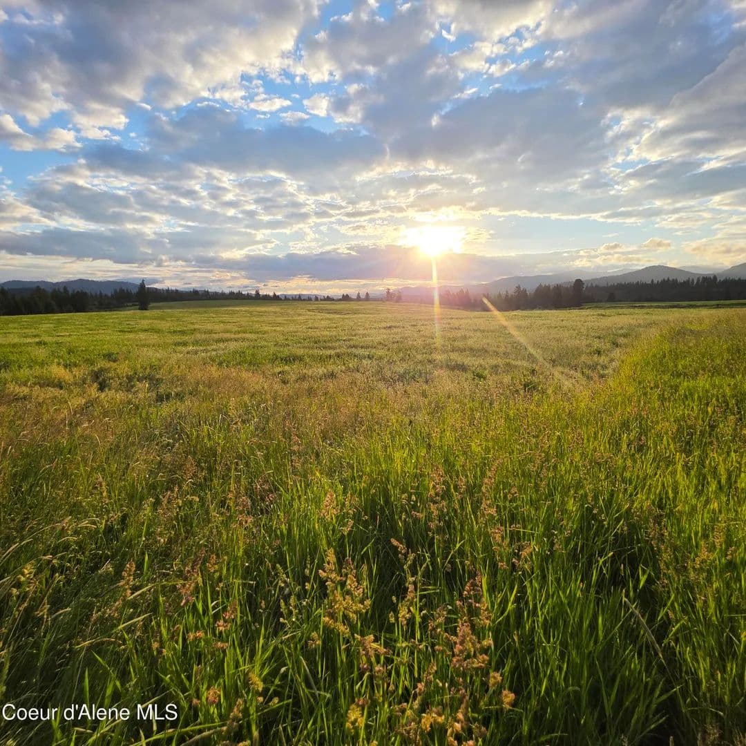 20.6 Acres of Land for Sale in Harrison, Idaho - Harrison, Idaho, 83833
