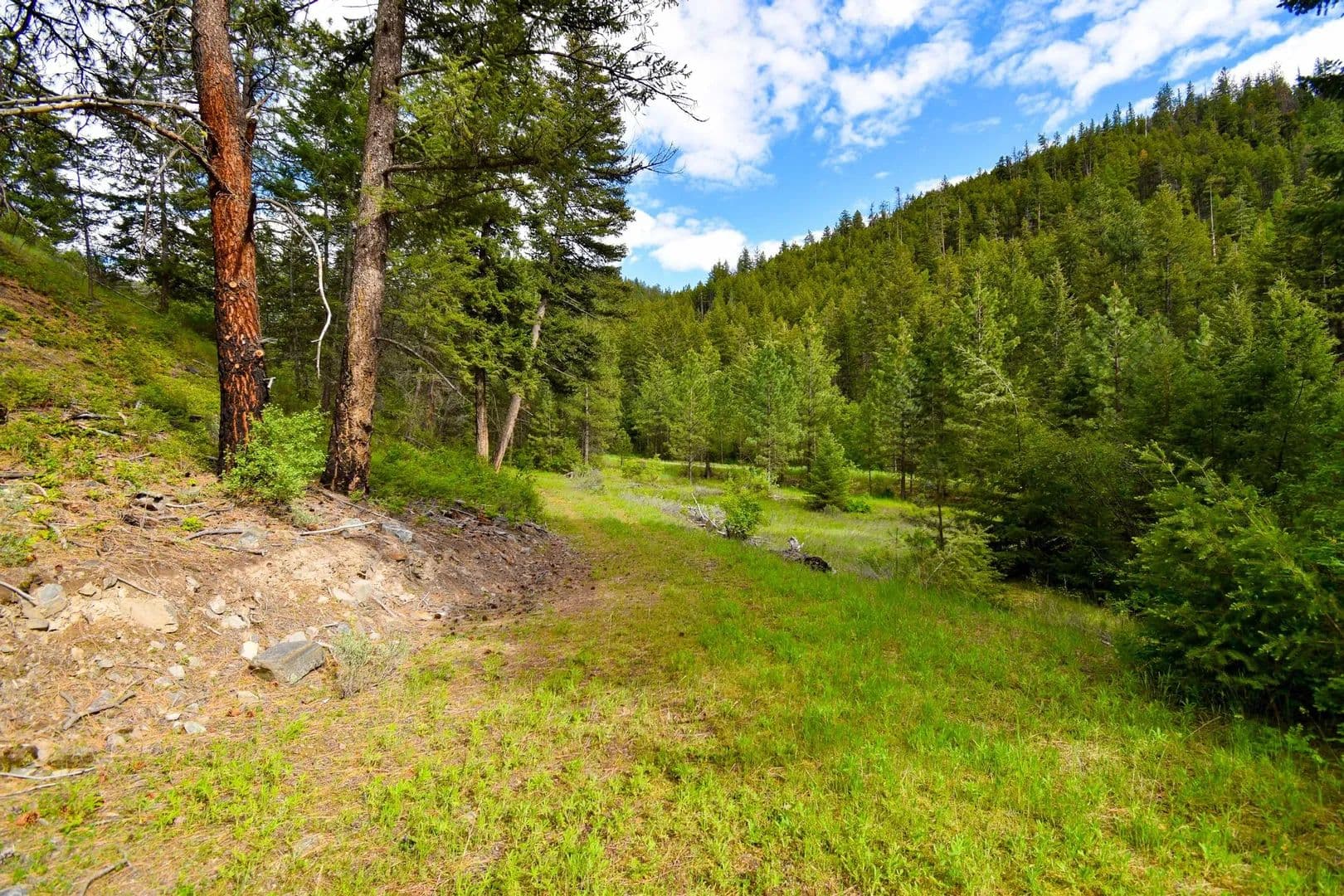 Lots & Land-Other in Plains - Plains, Montana, 59859