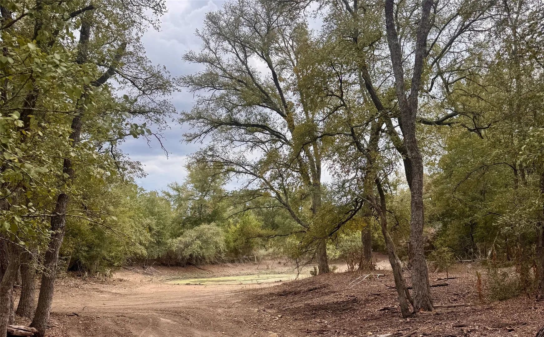 12 Acres of Land for Sale in Cedar Creek, TX - Cedar Creek, Texas, 78612