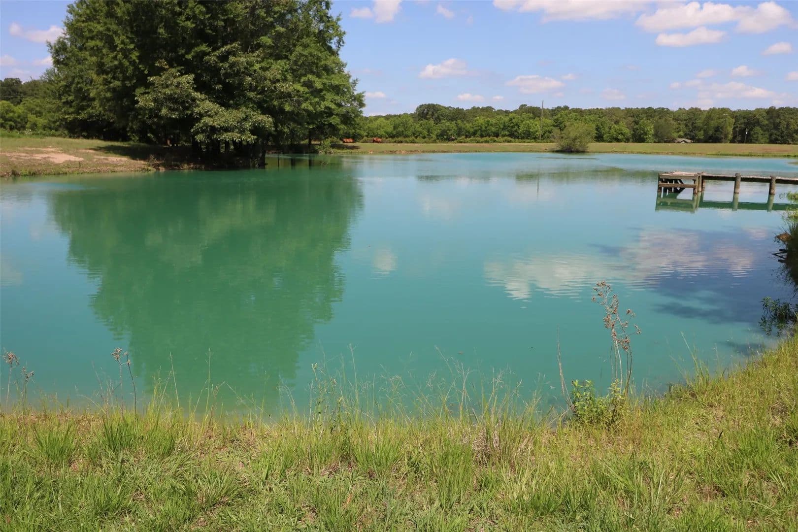 Property from 11083 Farm Road 1502 - KW - Paris, Texas, 75462
