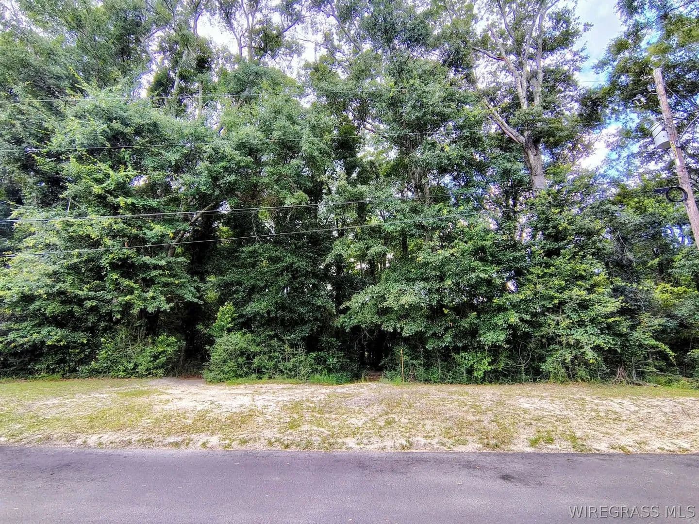 1.68 Acres of Land for Sale in Geneva, Alabama - Geneva, Alabama, 36340