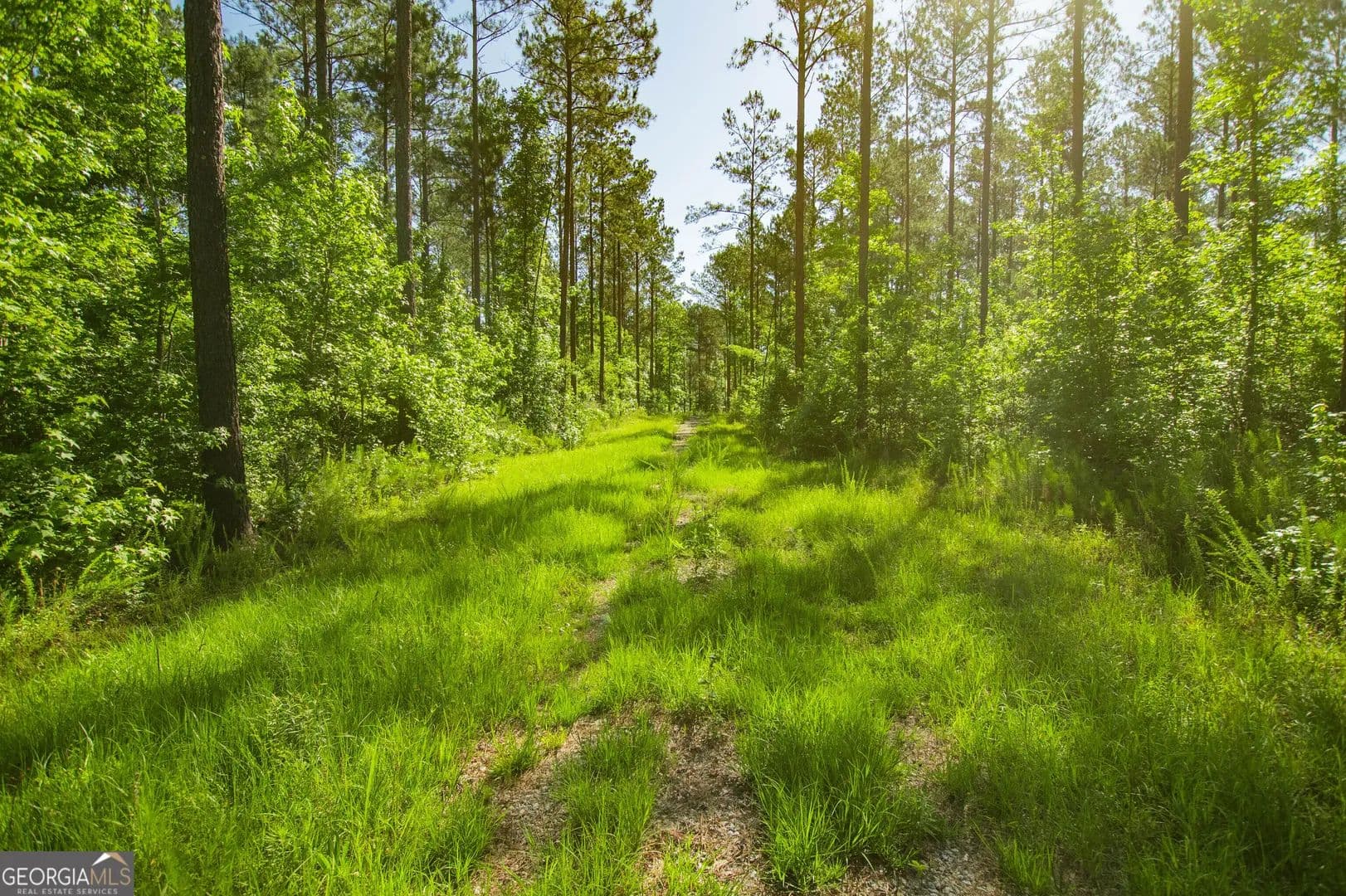 Property from 0 Weaver Jones Road - KW - Rutledge, Georgia, 30663