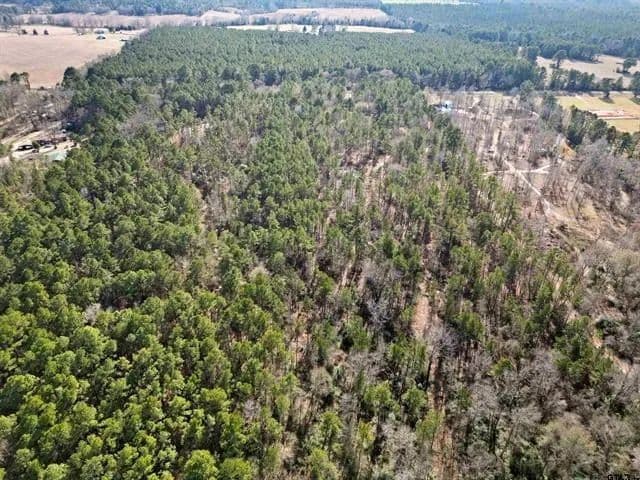 16 Acres of Land for Sale in Troup, Texas - Troup, Texas, 75789