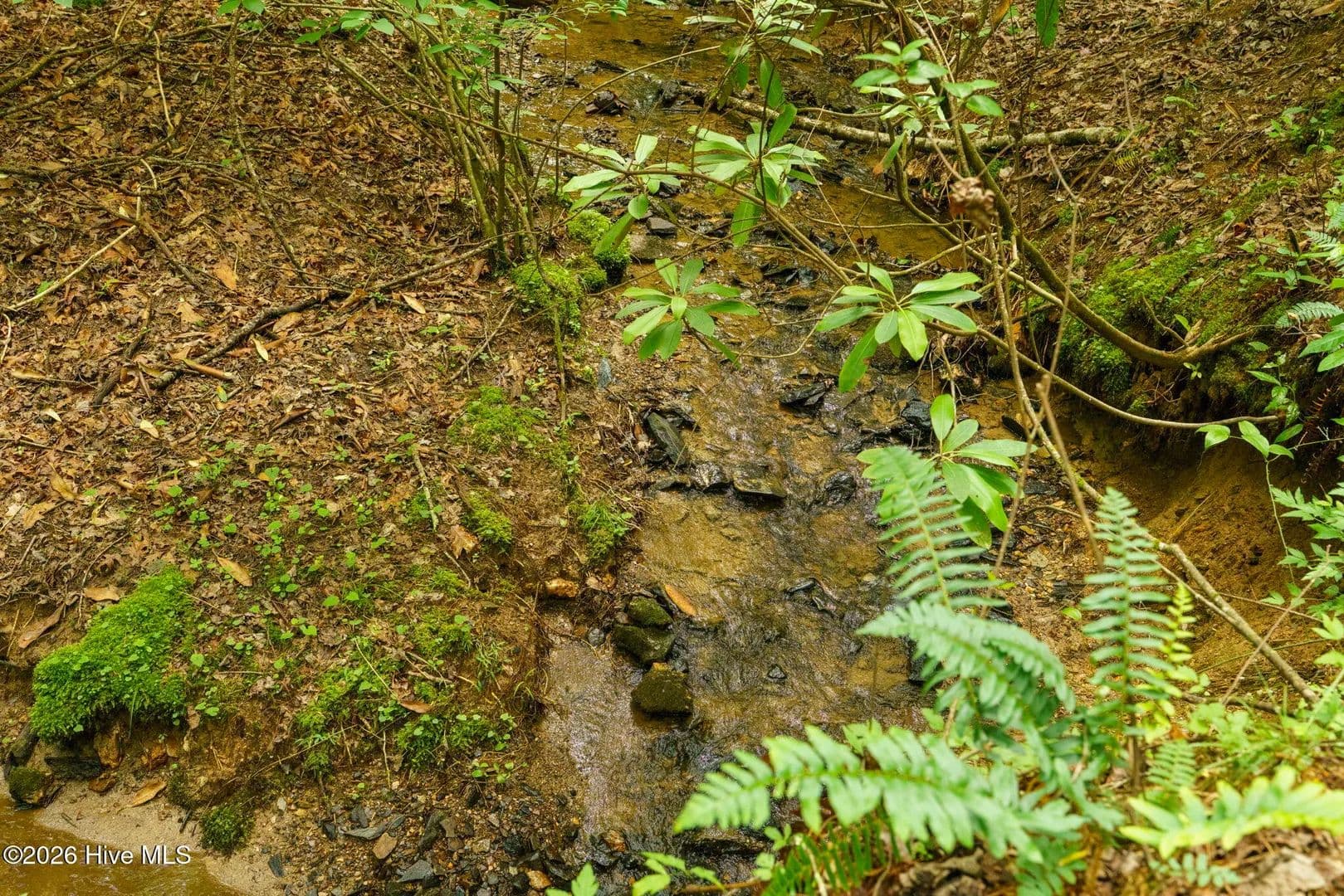 Property from Lot 9 Holly Ridge Lane - KW - Murphy, North Carolina, 28906
