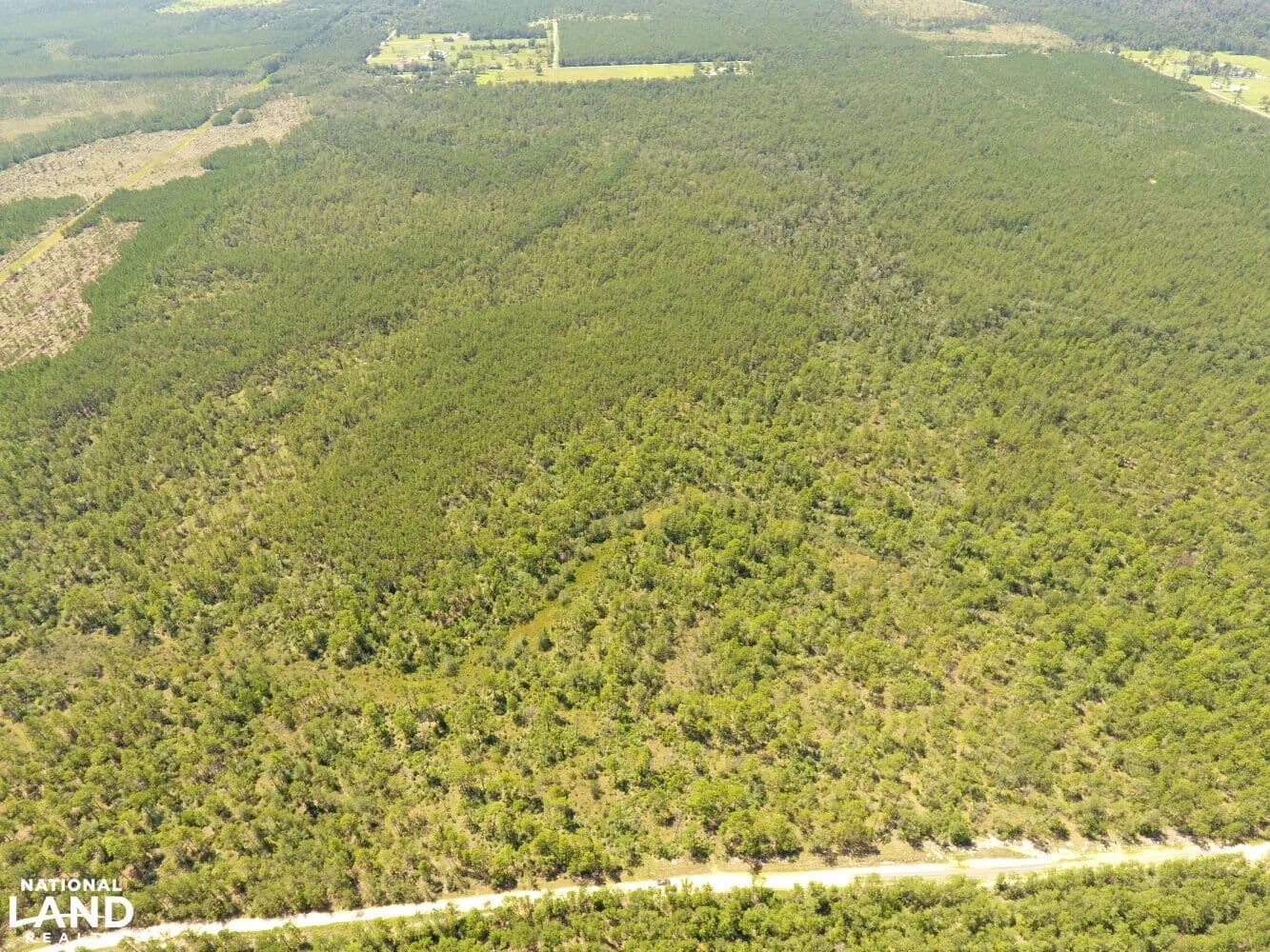 Frank Trahan Road - Reeves, Louisiana, 70658