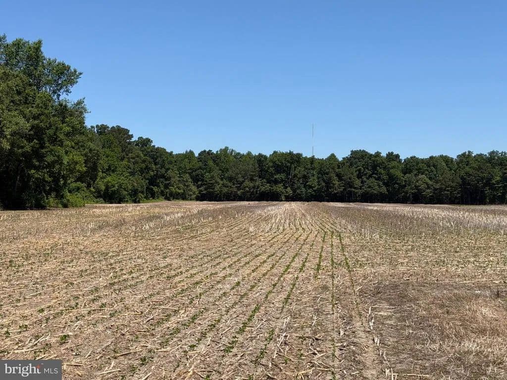 Property from 29199 CORDREY ROAD - KW - Millsboro, Delaware, 19966