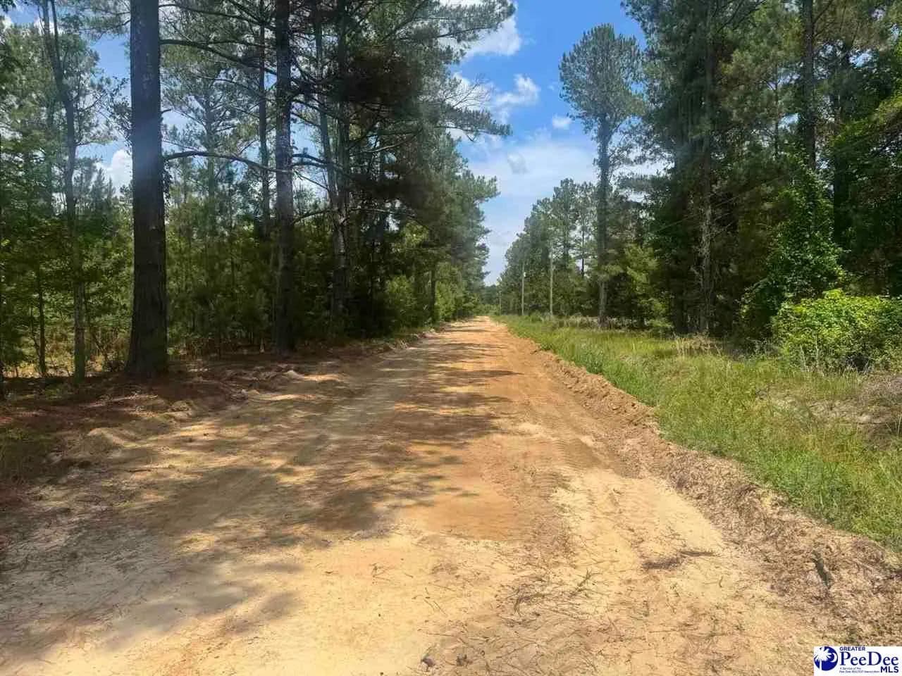 Property from 719 1/2 and 721 Ruth Rd - KW - Coward, South Carolina, 29530