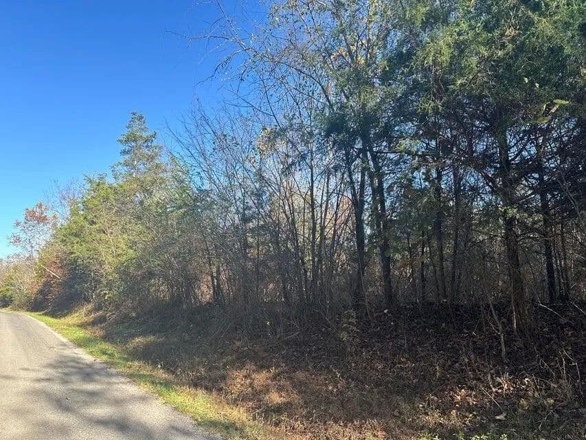 Property from 0 Mt Carmel Road - KW - Decatur, Tennessee, 37322