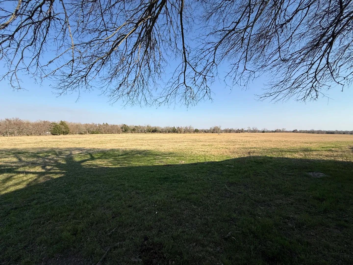 135 Acres of Land for Sale in Fairfield, Texas - Fairfield, Texas, 75840
