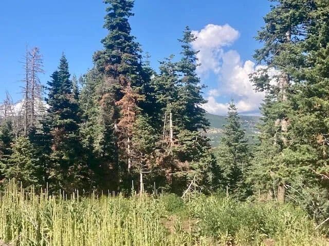 Vacant Land in Kolob - Utah, 84767
