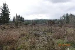 4.54 Acres Eatonville - Eatonville, Washington, 98328