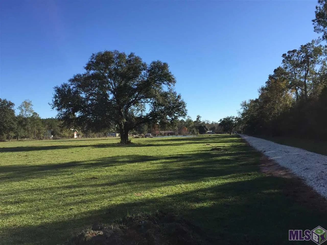 8 Acres of Land for Sale in Springfield, Louisiana - Springfield, Louisiana, 70462