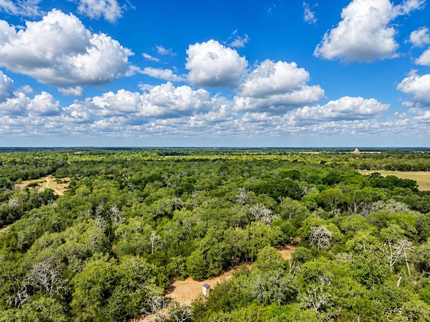 263± Acre Hunting & Ranch Retreat Near Hallettsville - land for sale