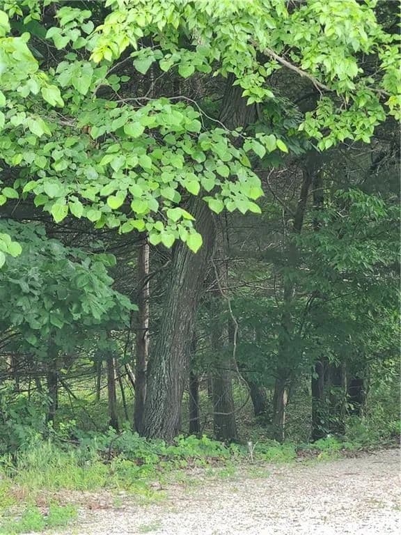 Property from 50 Ridgewood Drive - KW - Linn Valley, Kansas, 66040