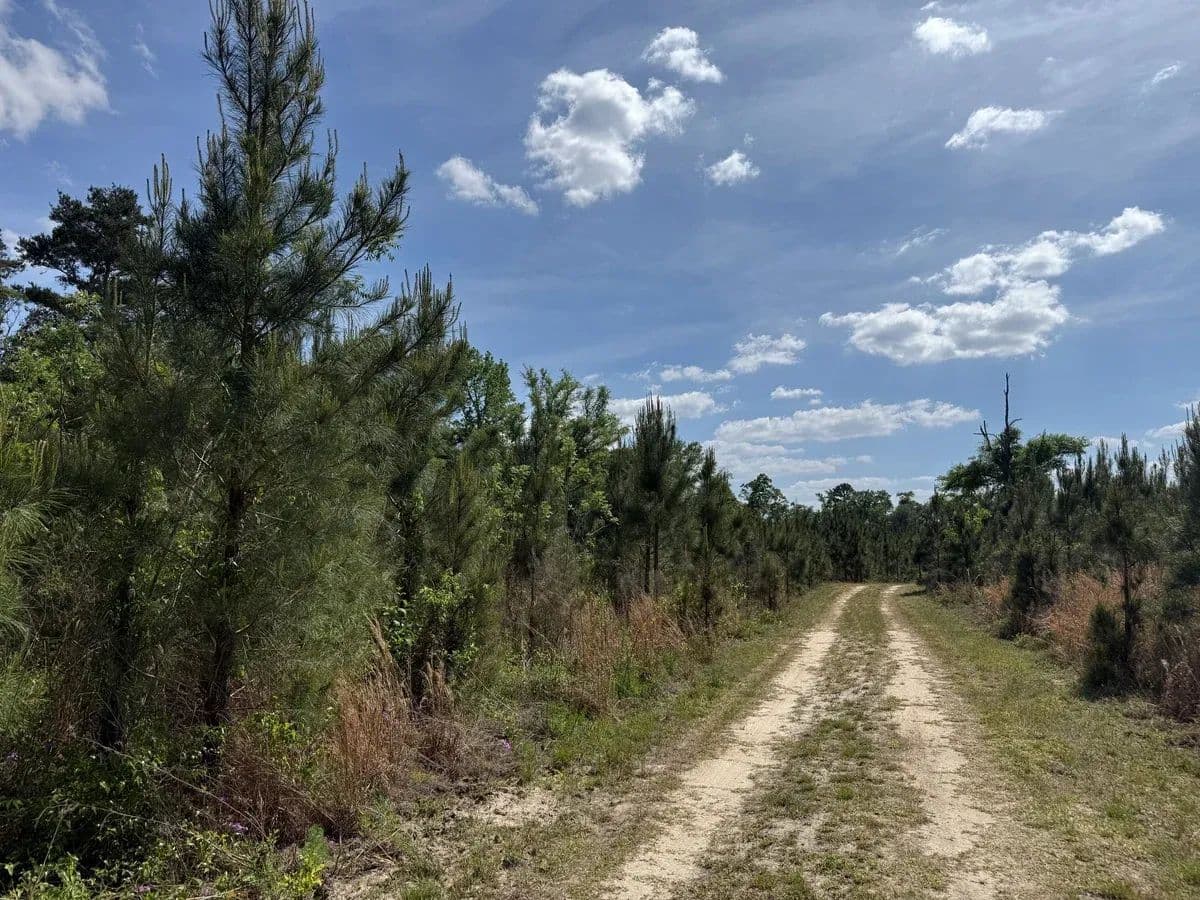 Tyler Creek - Bainbridge, Georgia, 39861