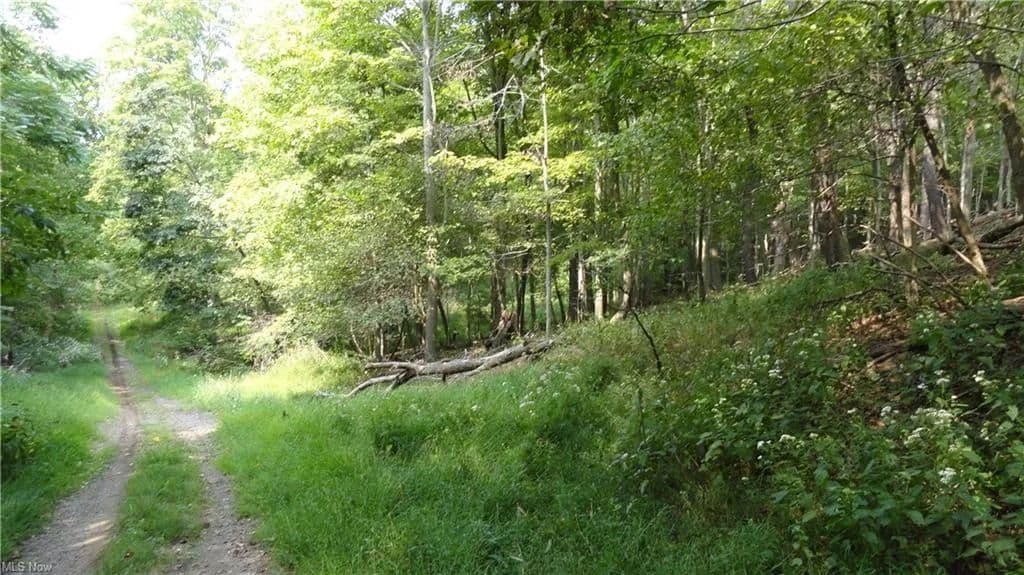 Land -Single Family Acreage in Weirton - Weirton, West Virginia, 26062