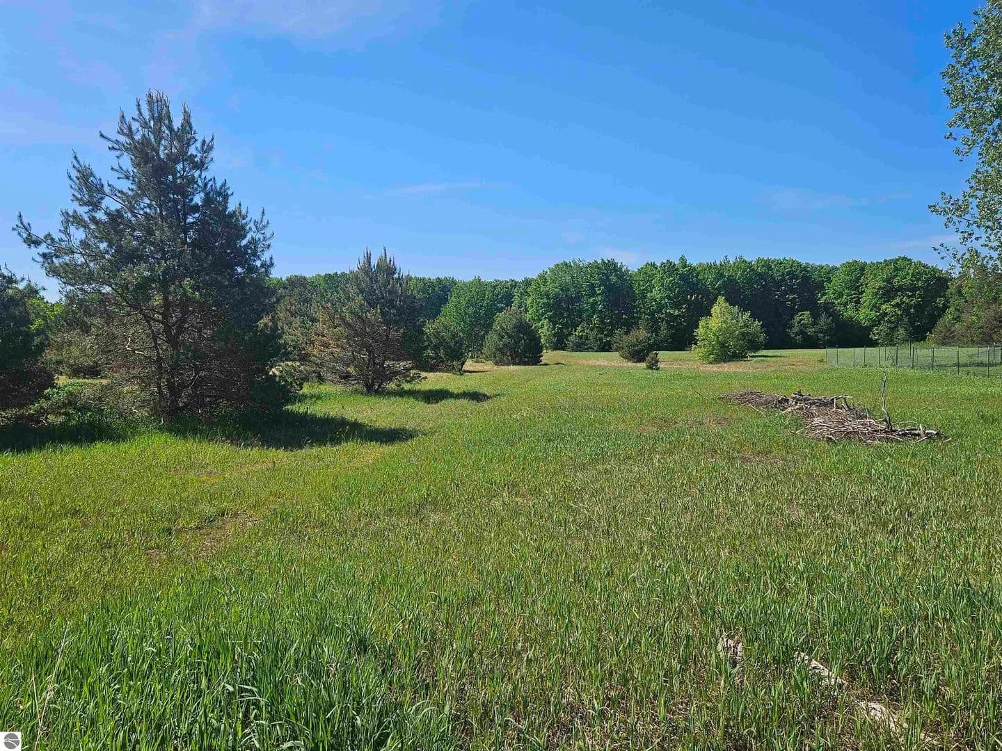 Property from V/L Parcel B SE Grass Lake Road - KW - Kalkaska, Michigan, 49646