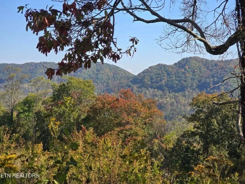 Property from TBD Copper Ridge Road - KW - Eidson, Tennessee, 37731