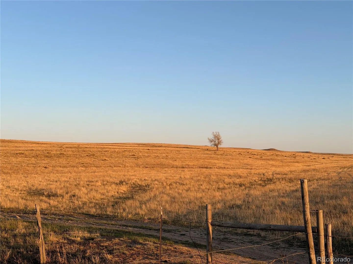 Property from 25411 County RD 105 - KW - Simla, Colorado, 80835