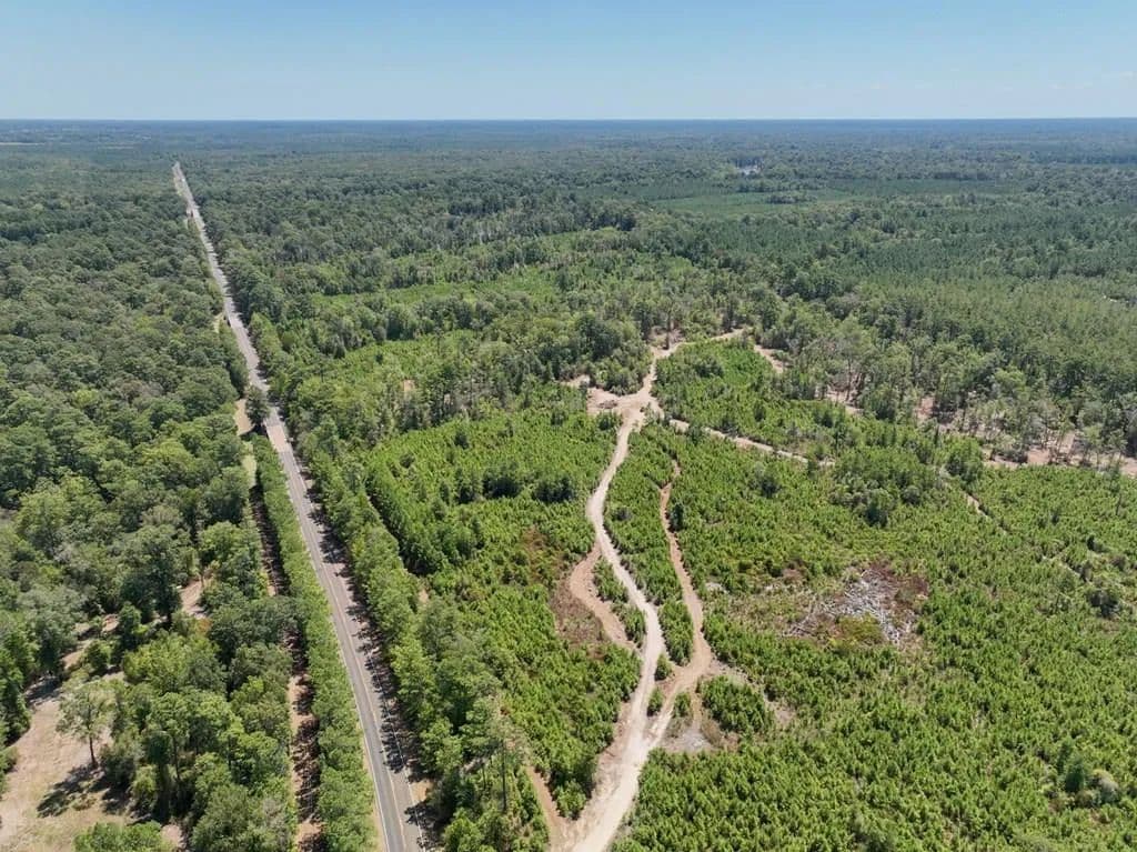 15 Acres of Land for Sale in Spurger, Texas - Spurger, Texas, 77660