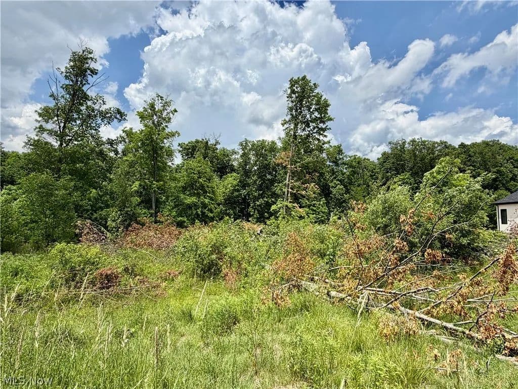 0.7 Acres of Land for Sale in Poland, Ohio - Poland, Ohio, 44514