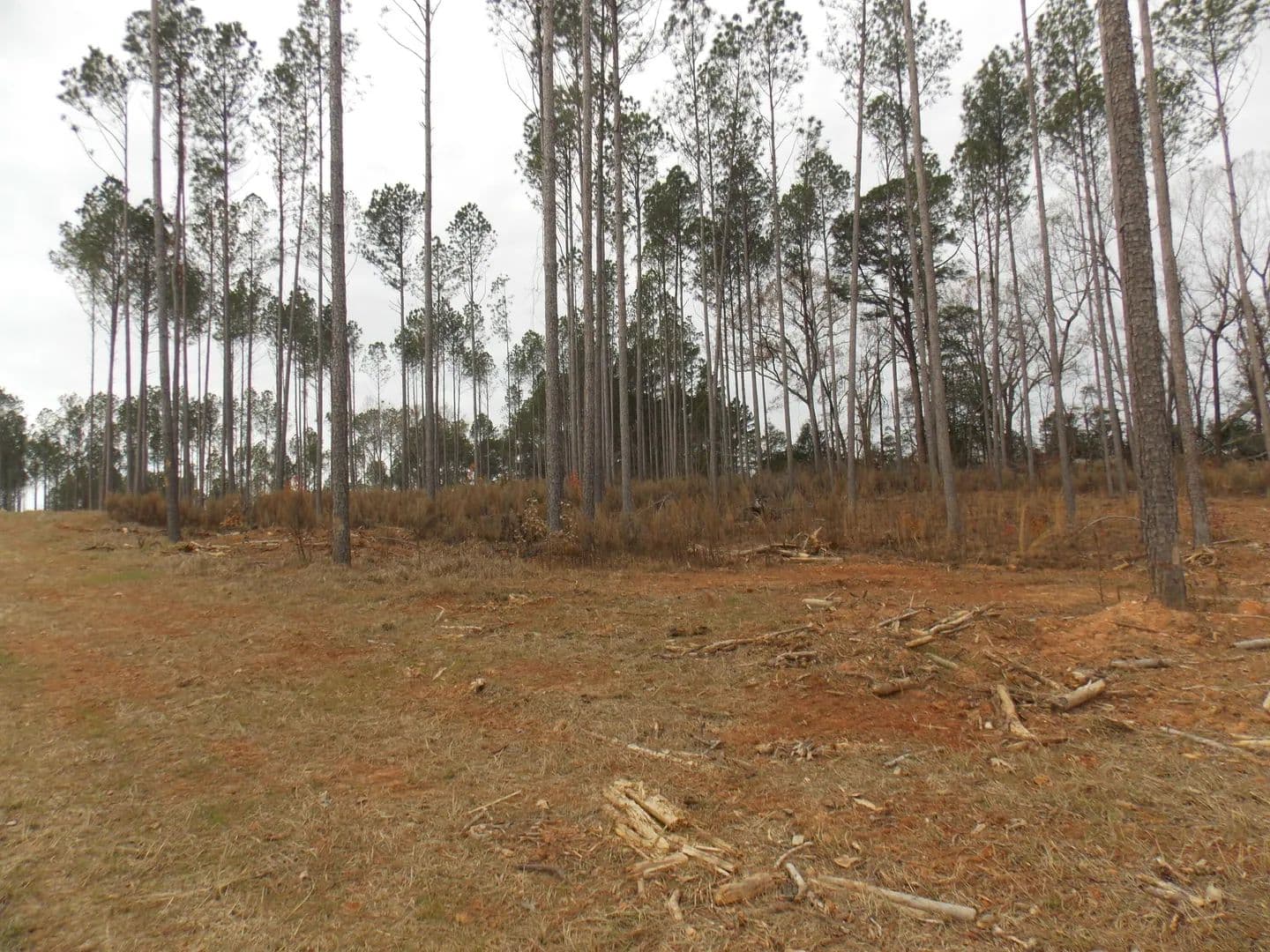 Lots & Land-Other in Lincolnton - land for sale