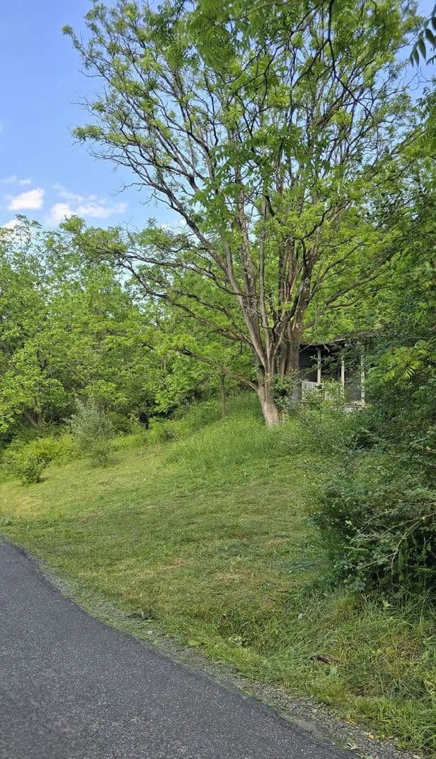 Property from 2470 Yellow Sulphur Road - KW - Christiansburg, Virginia, 24073