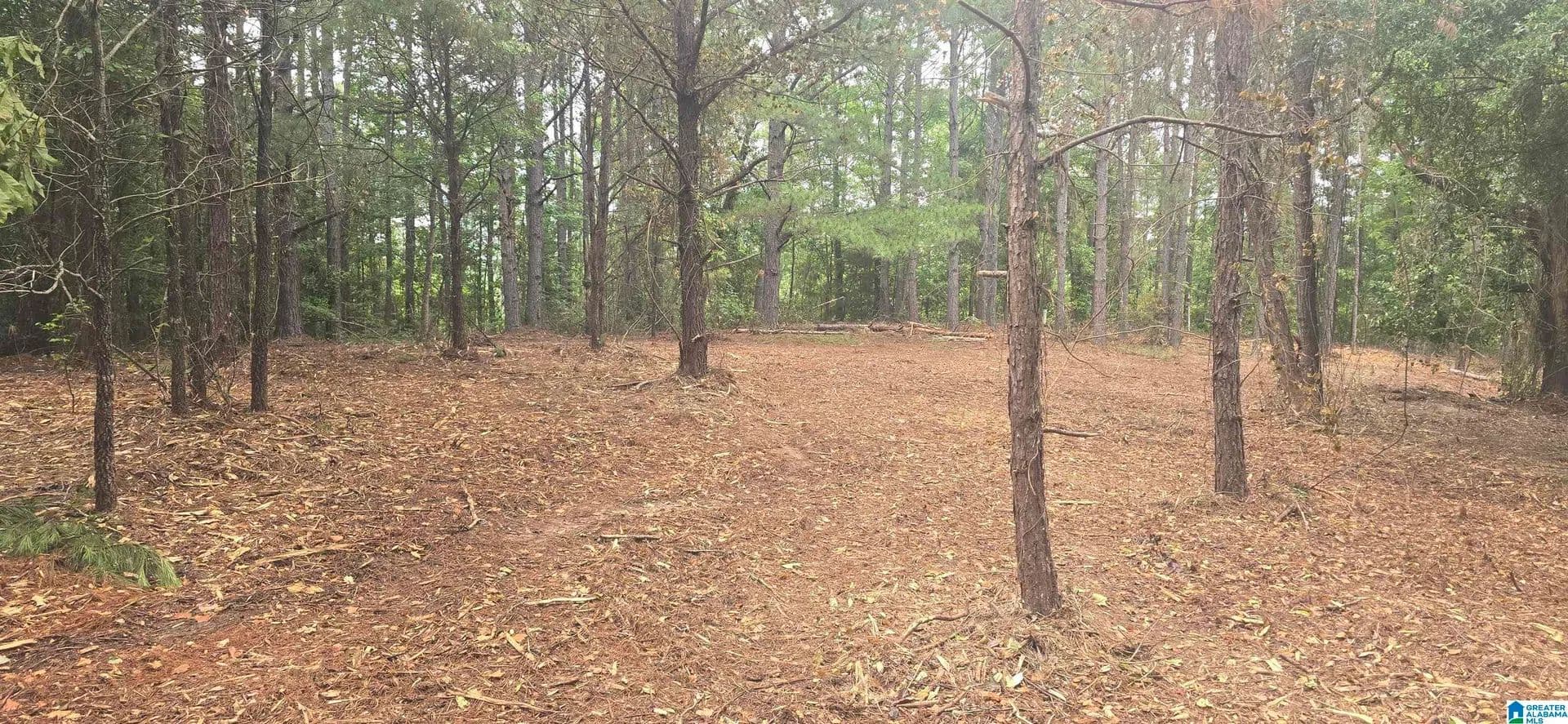 Property from 0 COUNTY ROAD 82 #1 - KW - Lawley, Alabama, 36793