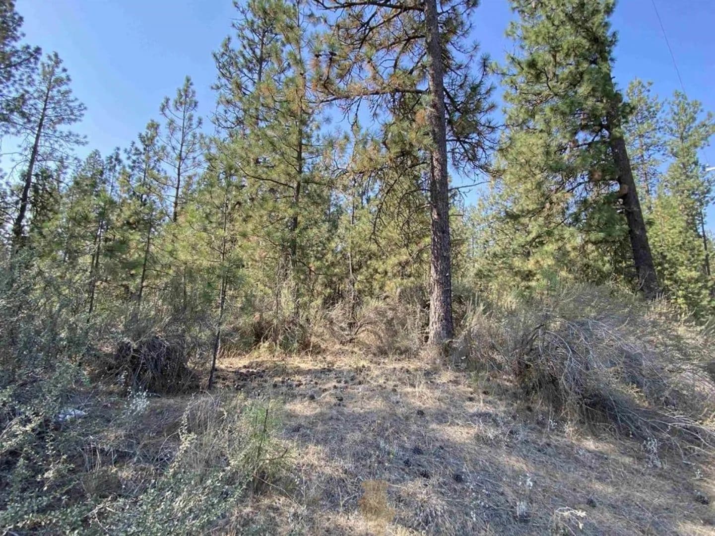 Vacant Land in Nine Mile Falls - land for sale