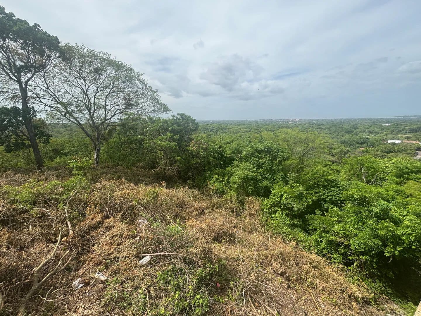 Terreno elevado con vistas a Granada: una joya escondida en Valle Escondido, para tu futuro hogar - land for sale