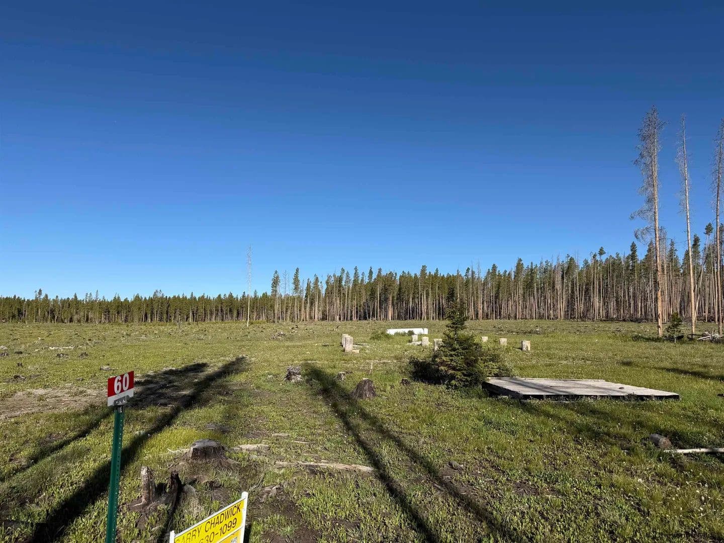 Property from 60 WILDERNESS DR - KW - Laramie, Wyoming, 82070