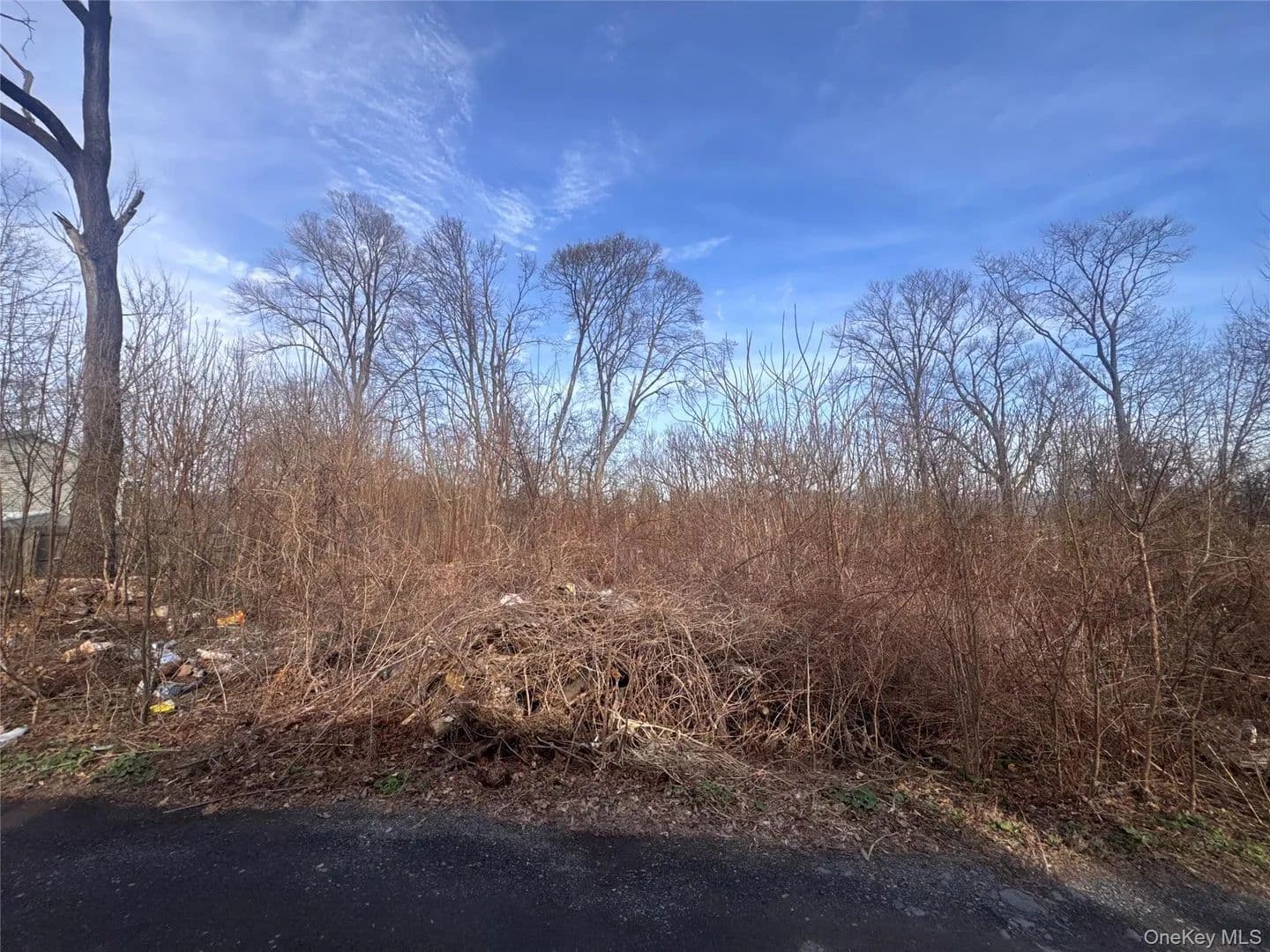 Property from 121 Robinson Avenue - KW - Newburgh, New York, 12550