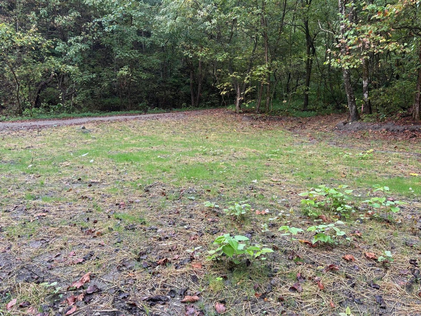 Property from 3350 Lower Pompey Branch Road - KW - Shelbiana, Kentucky, 41562