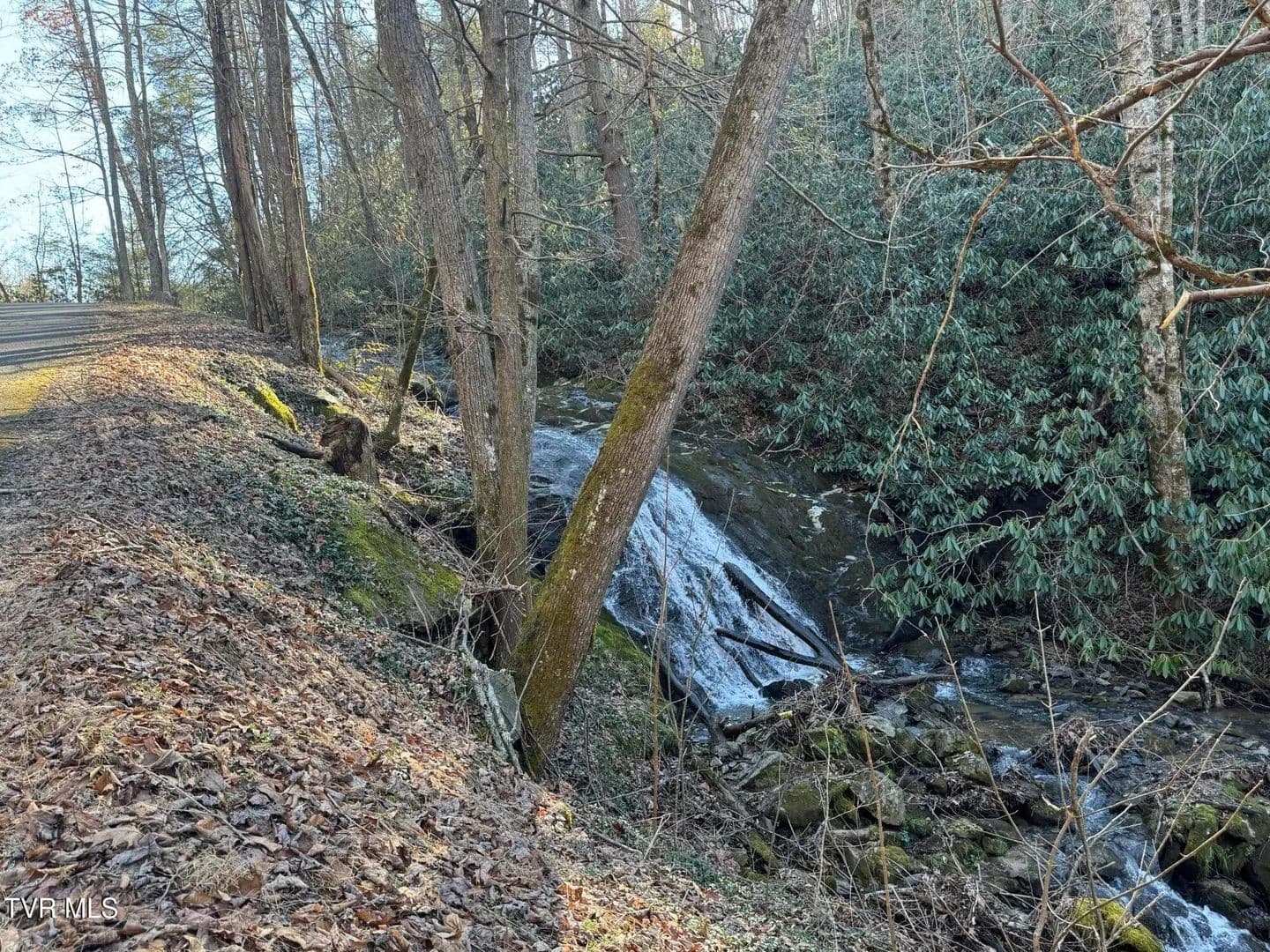 32.08 Acres of Land for Sale in Flag Pond, TN - Flag Pond, Tennessee, 37657