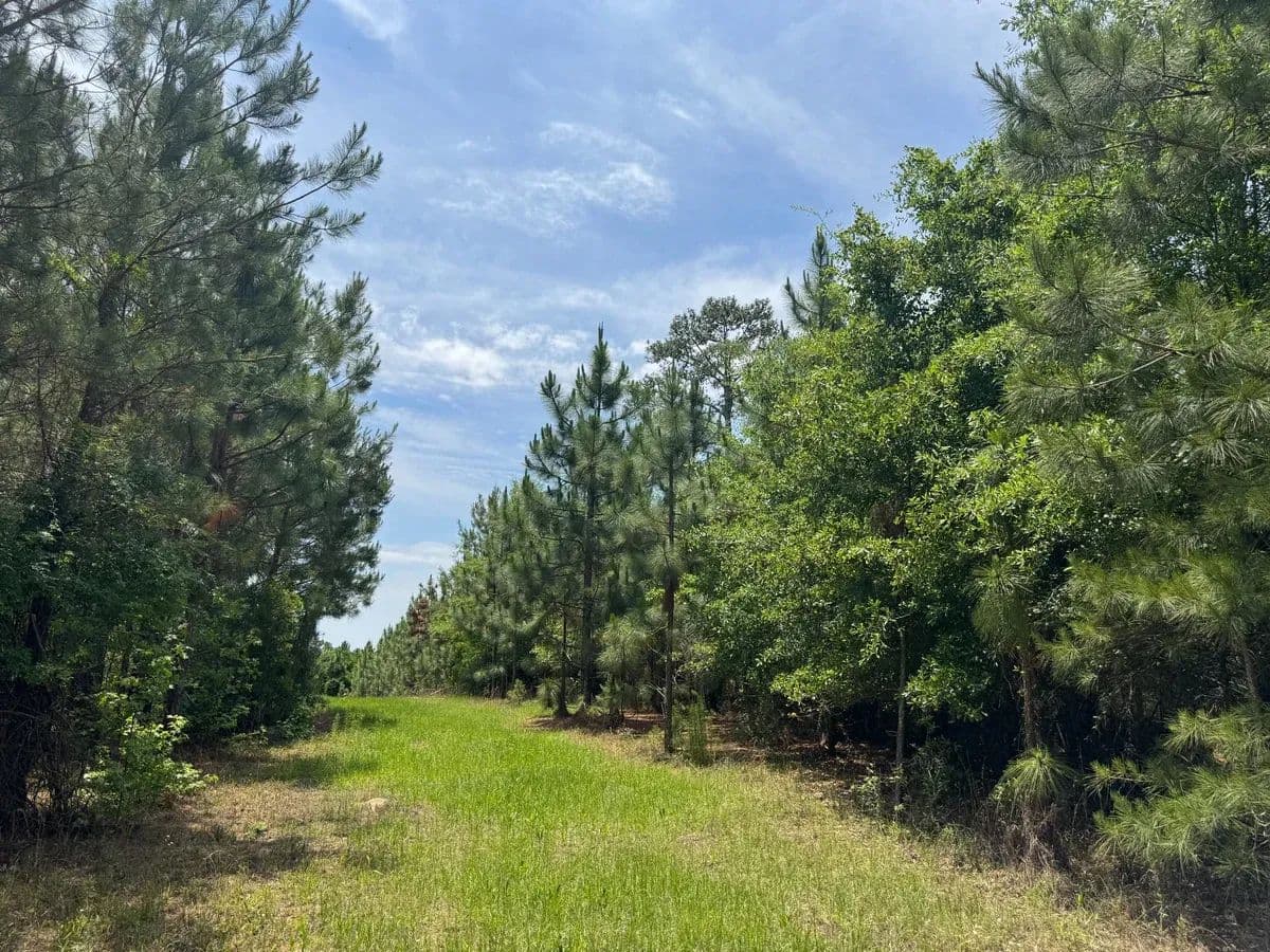 The Manning Farm - Clio, South Carolina, 29516