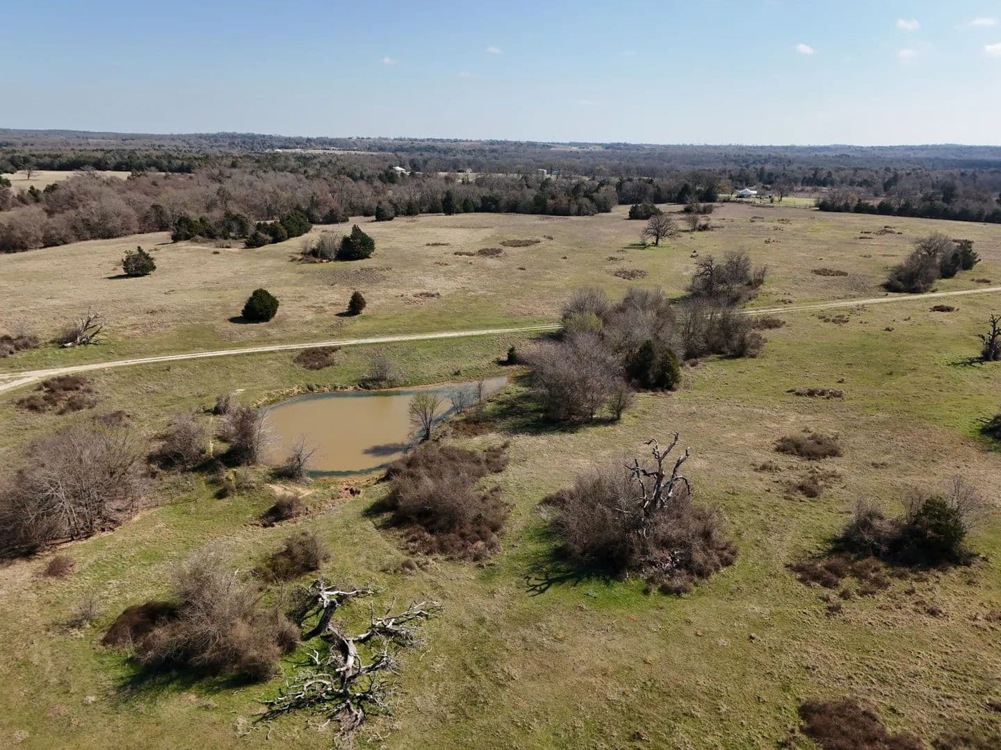 105 Acres of Land for Sale in Fairfield, Texas - Fairfield, Texas, 75840