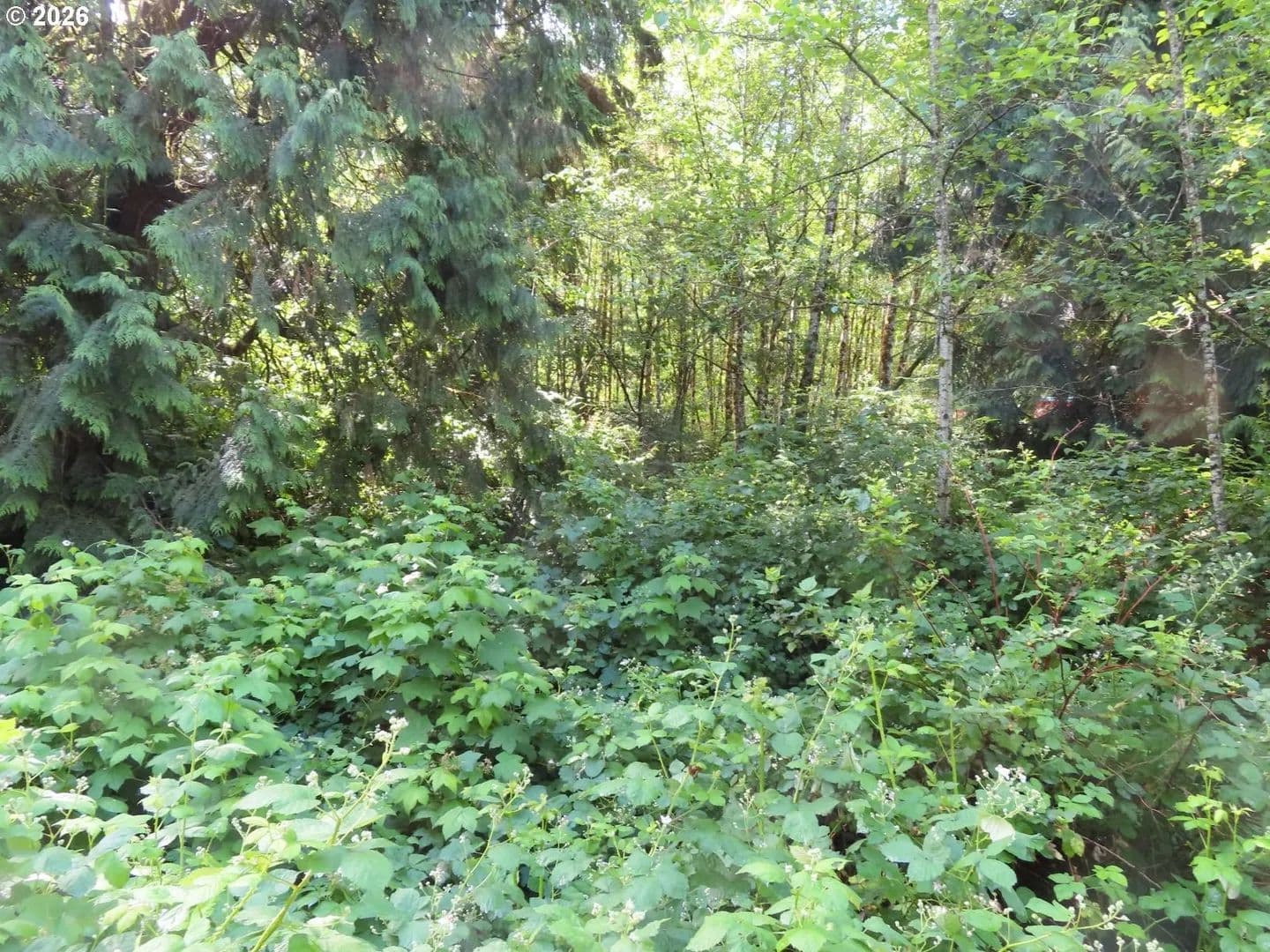 6 Acres of Land for Sale in Longview, WA - Longview, Washington, 98632