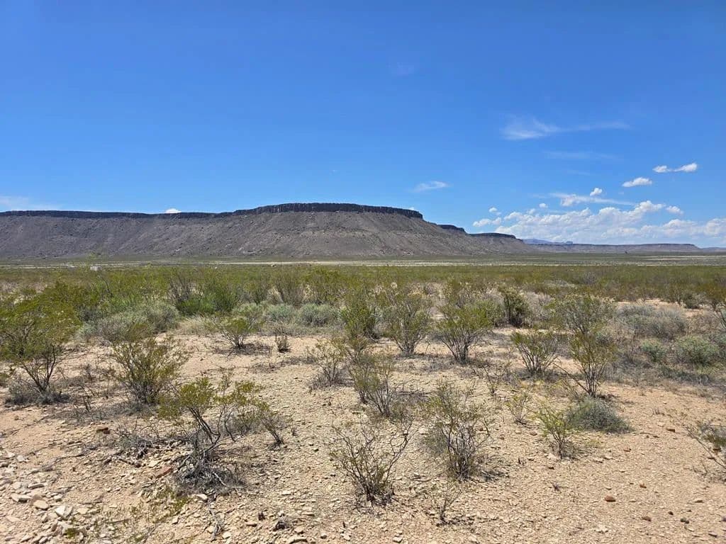79.45 Acres of Land for Sale in Alpine, Texas - Alpine, Texas, 79830