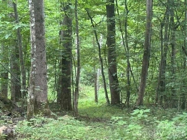 Property from 00 Sugar Loaf Mountain Road - KW - Marshall, North Carolina, 28753