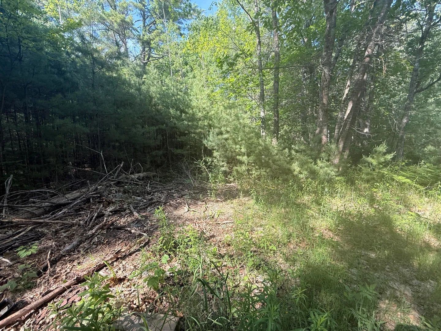 1 Acre of Land for Sale in Enfield, Maine - Enfield, Maine, 04493