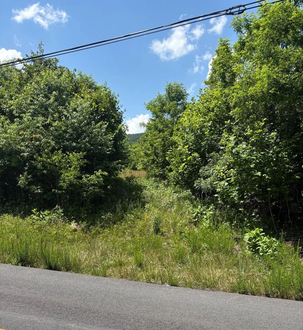Property from 0 Craig Creek RD - KW - Eagle Rock, Virginia, 24085