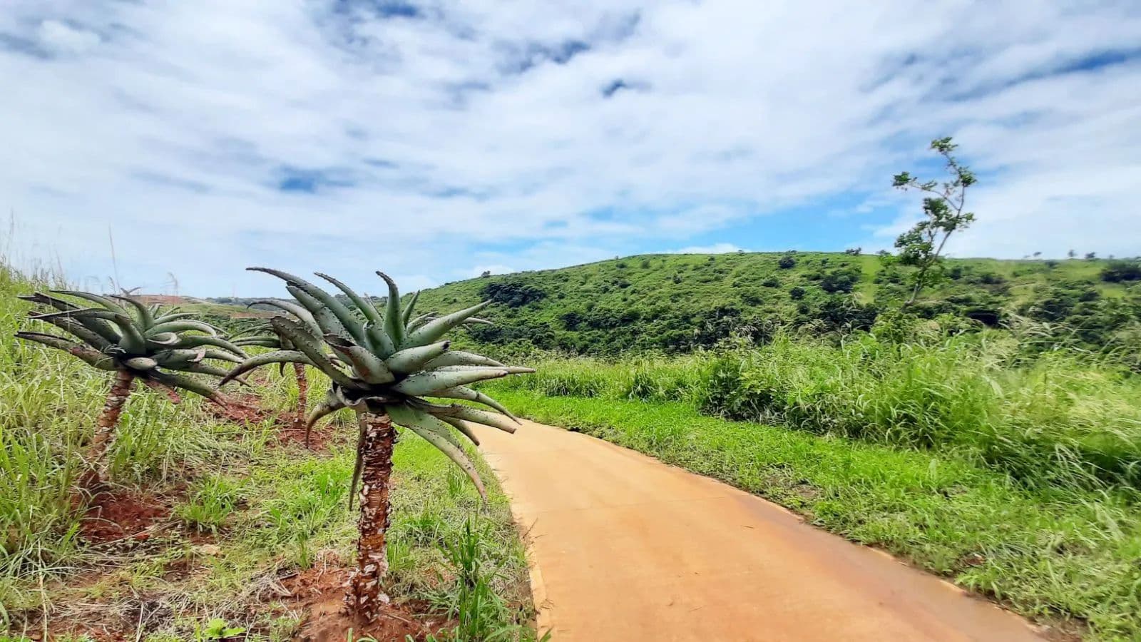1657 Acres of Land for Sale in Ballito, KwaZulu Natal - land for sale