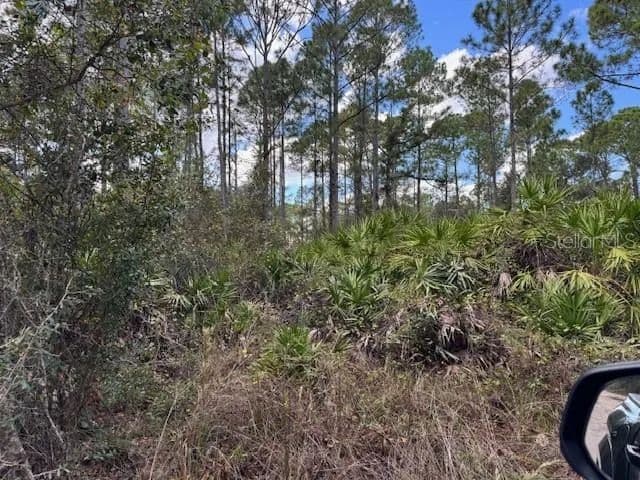 Vacant Land in Deland