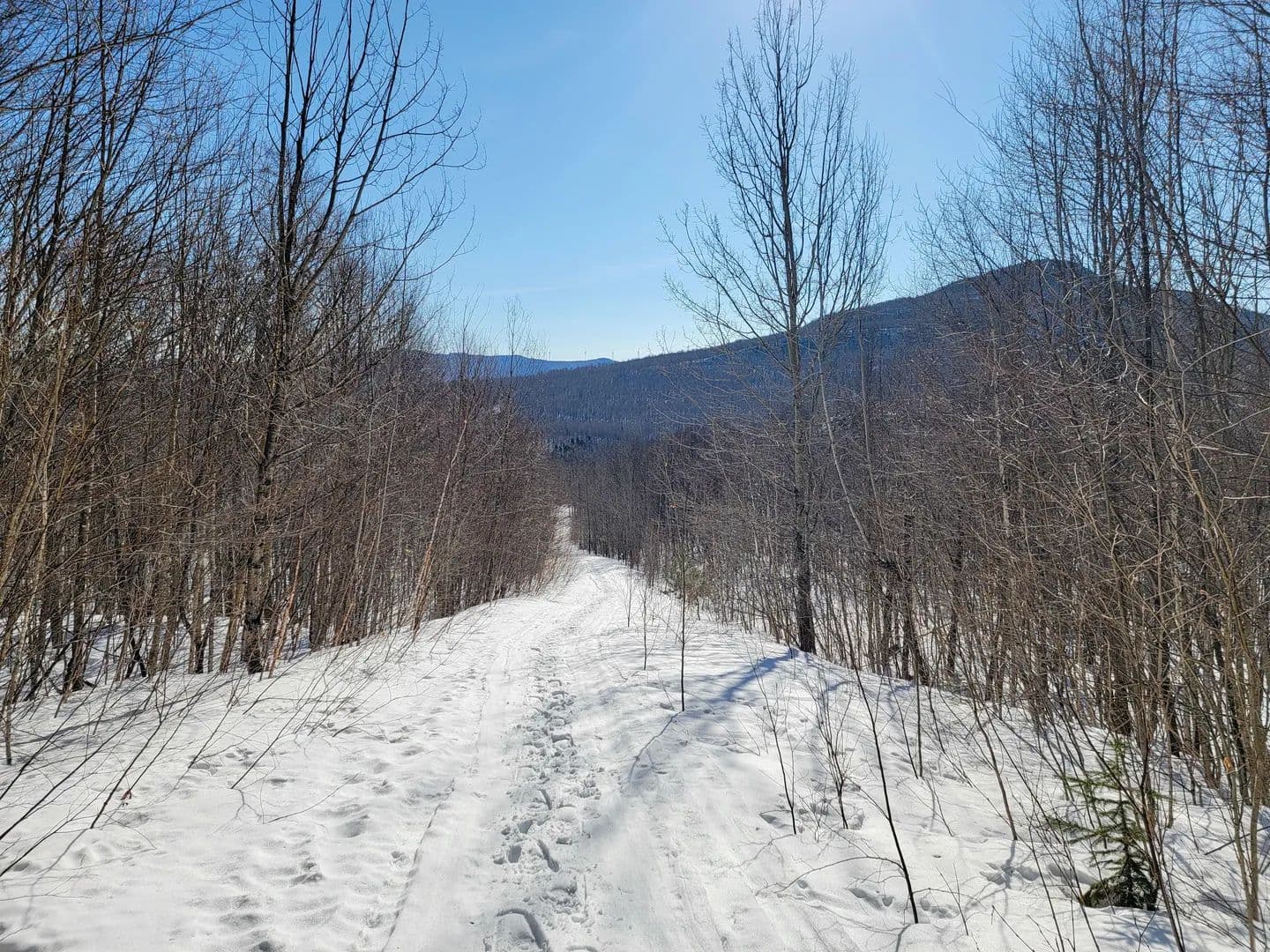 4166 Mines Rd - Lowell - land for sale