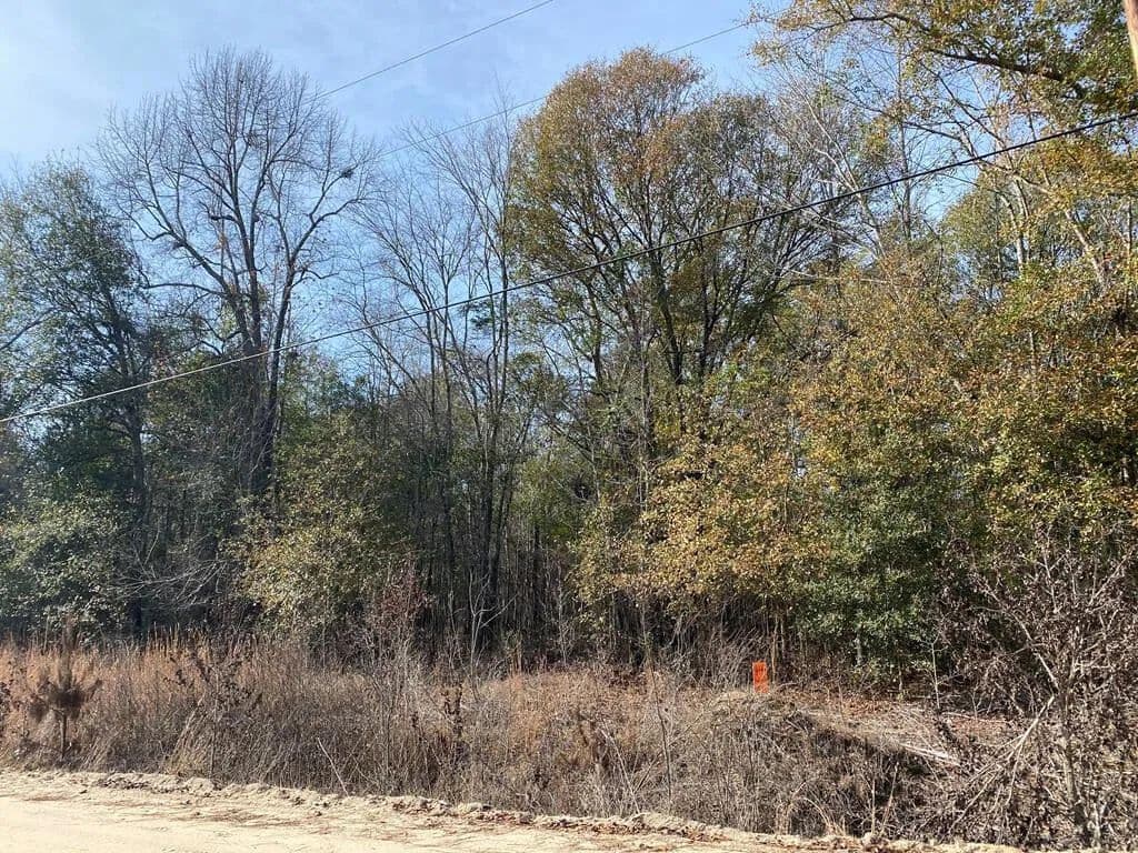 Property from Lot 14 Robin Boulevard - KW - Swainsboro, Georgia, 30401