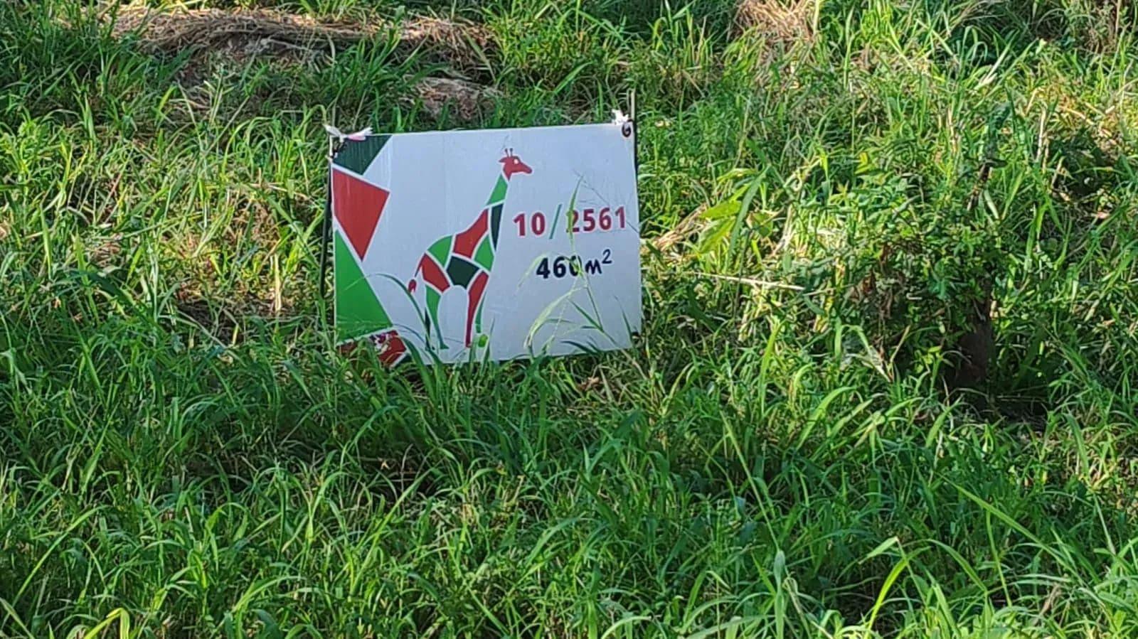 460 Acres of Land for Sale in Nelspruit, Mpumalanga - land for sale
