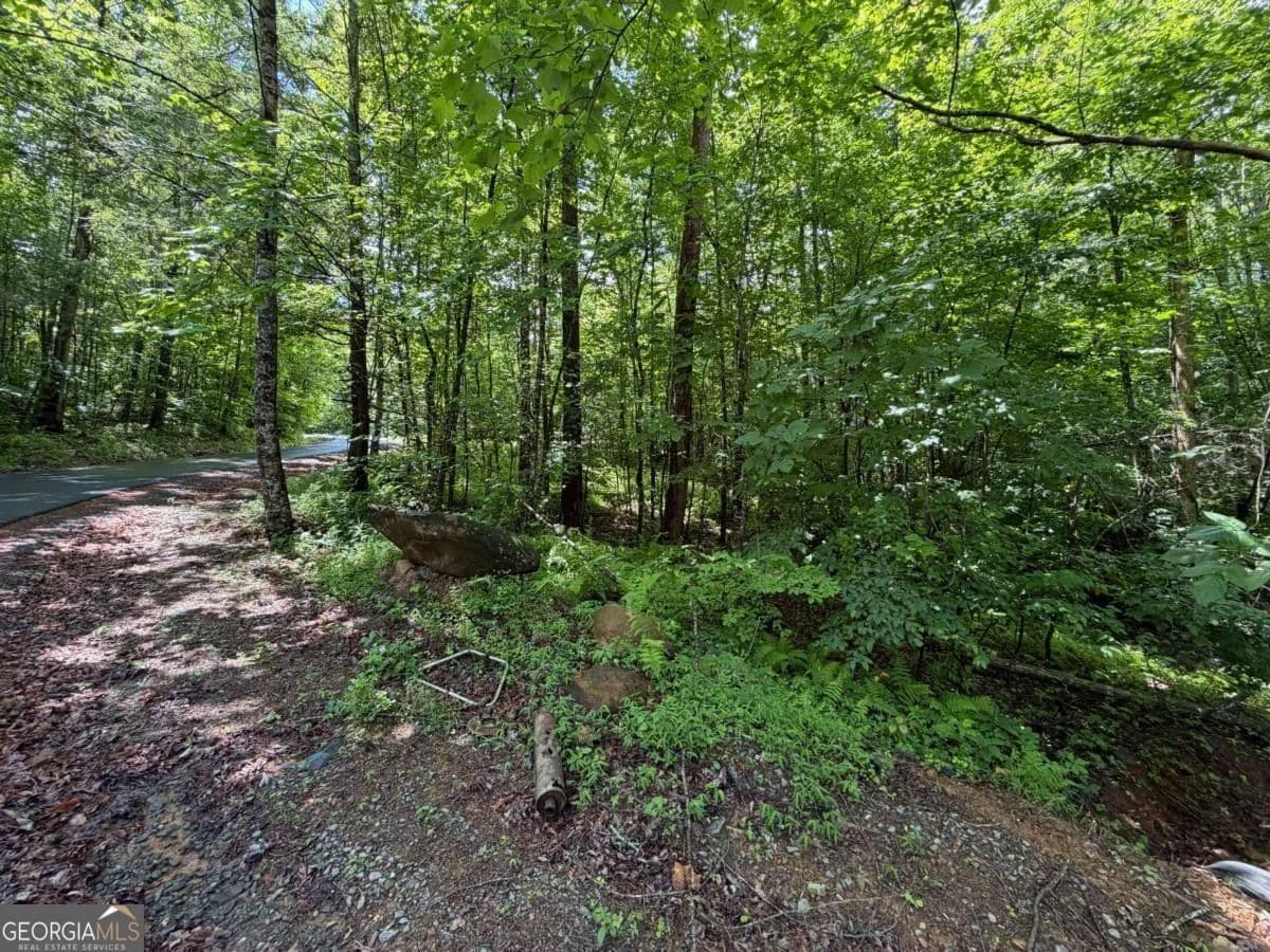 Property from 2.75AC Quail Ridge Road - KW - Epworth, Georgia, 30541